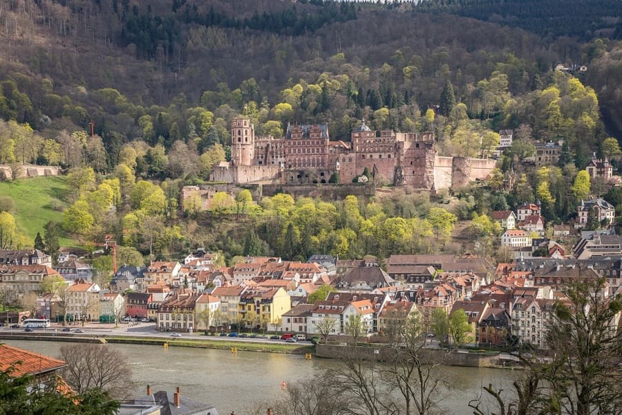 Erste Ärzte-Fortbildung der IMMA in Heidelberg begeistert die Teilnehmer